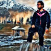 theshahrukh